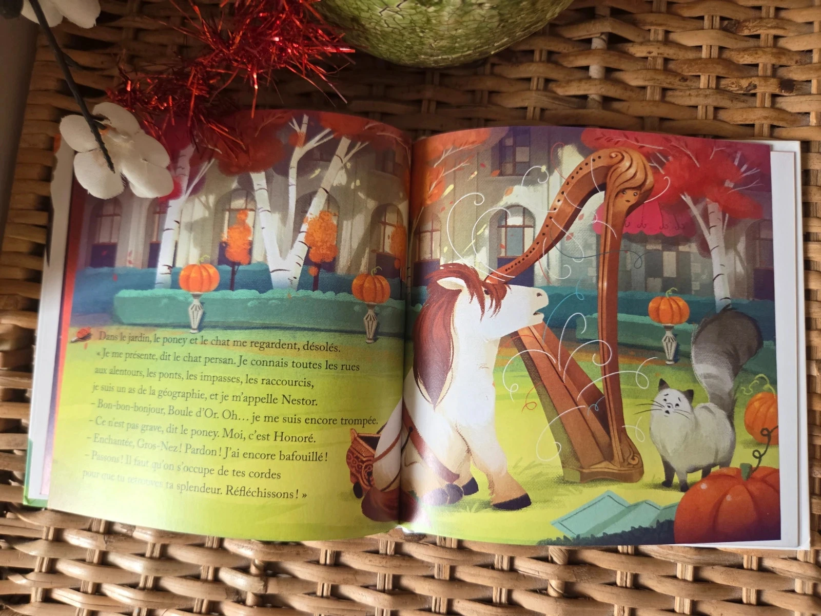 💜Concerto voor harp, kat en pony kinderboek – photo 3